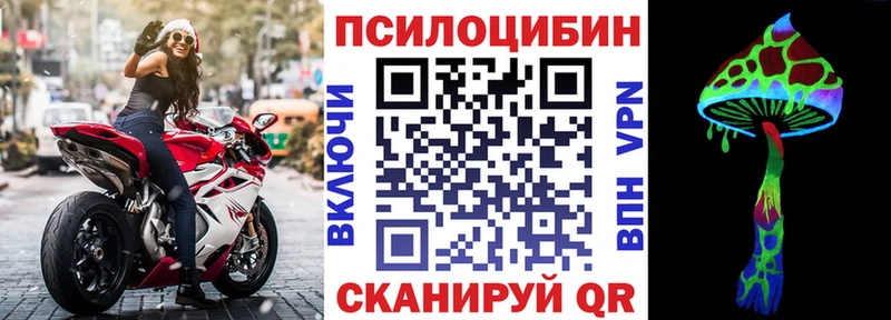 Псилоцибиновые грибы мицелий  Купить  Звенигово 